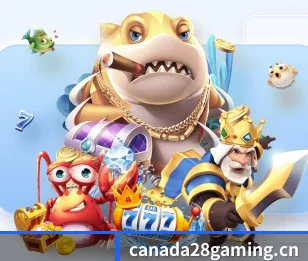 关于加拿大28（CANADA28）