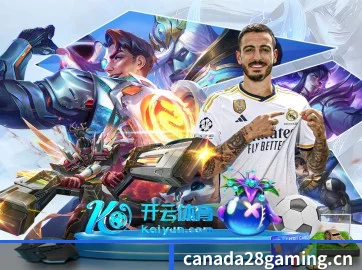 加拿大28 APP（CANADA28）